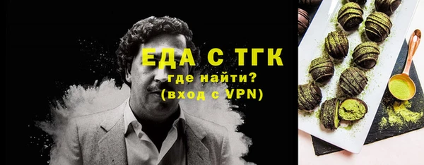 индика Карталы