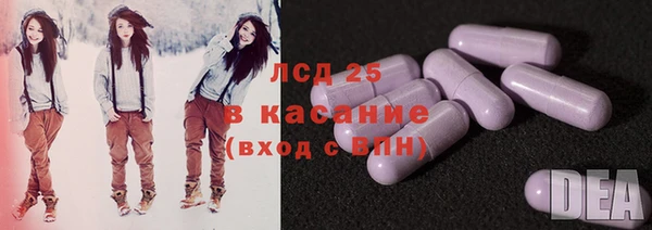индика Карталы