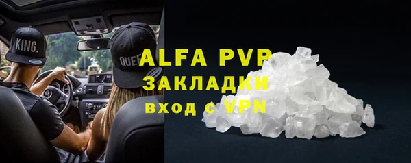 индика Карталы