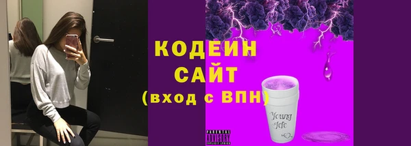 индика Карталы