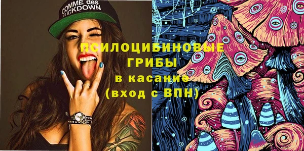 mix Карпинск