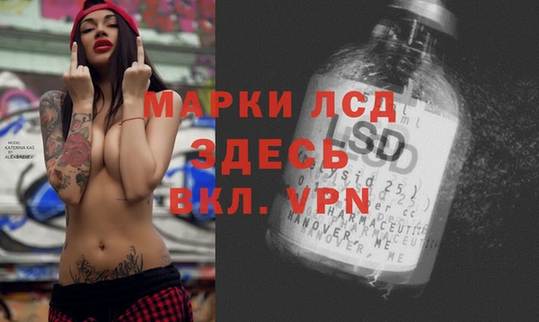 индика Карталы