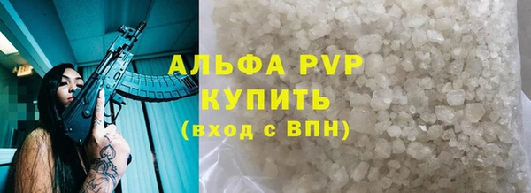 дмт Касимов