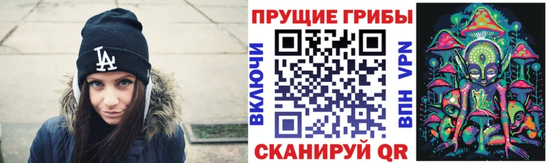 Купить где  Смоленск  Галлюциногенные грибы GOLDEN TEACHER 
